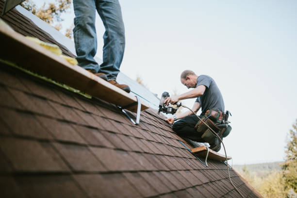 Domestic chimney repair and maintenance